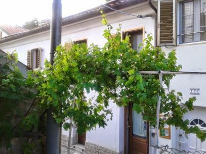 טריאסטה B&B Al Ferdinandeo מראה חיצוני תמונה